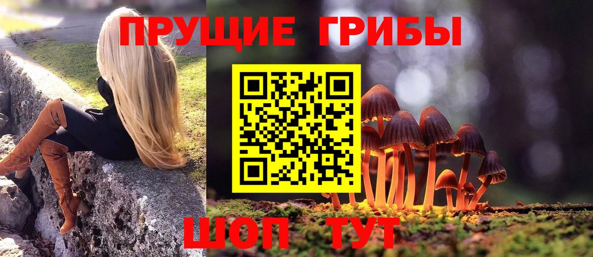 Галлюциногенные грибы MAGIC MUSHROOMS  Вход с VPN  Батайск 